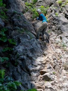 Cape shiretoko hike