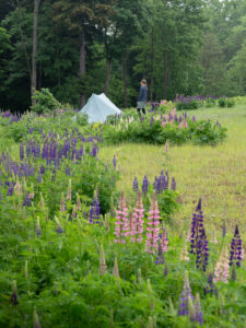 Camping Akan